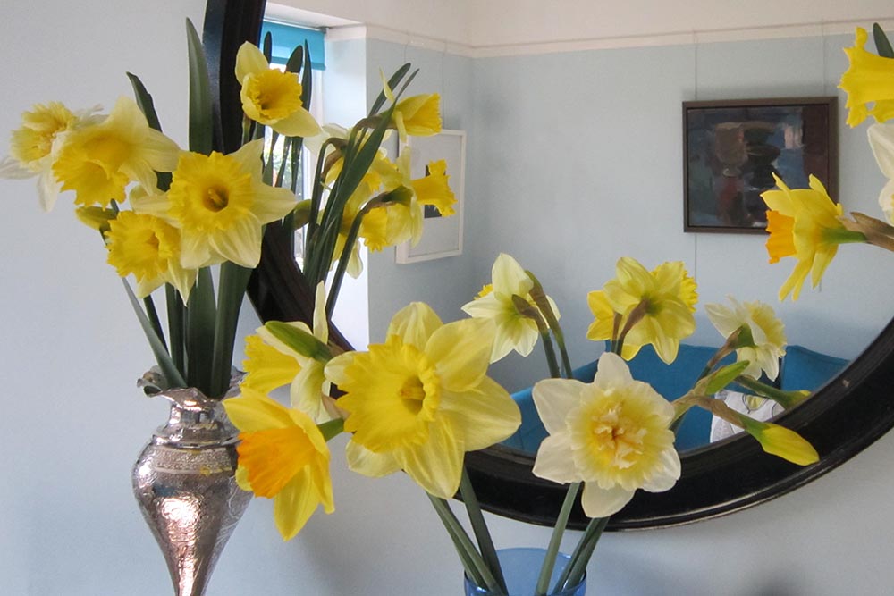 Daffodils in front of a mirror