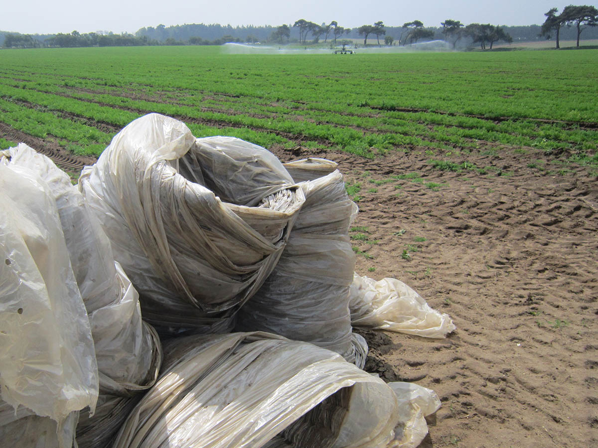 View of industrial farming: large rolls of discarded agricultural fleece, a field of carrots and a boom irrigator. Photo: Kim Crowder, 2018.